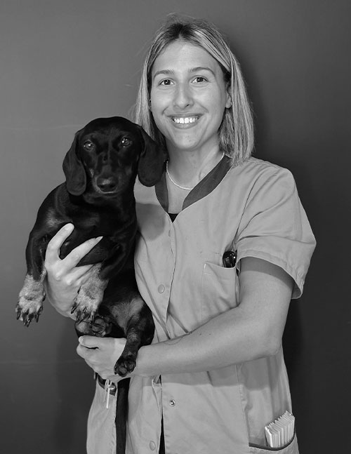 paula-s-clinique-veterinaire-du-coq-a-l’ane-bizanos