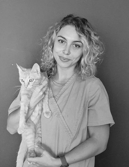 rafaela-asv-clinique-veterinaire-du-coq-a-l-ane-bizanos-pau